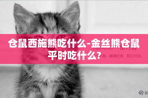 倉鼠西施熊吃什么-金絲熊倉鼠平時吃什么?