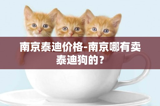 南京泰迪價格-南京哪有賣泰迪狗的？