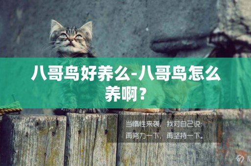 八哥鳥好養么-八哥鳥怎么養啊？