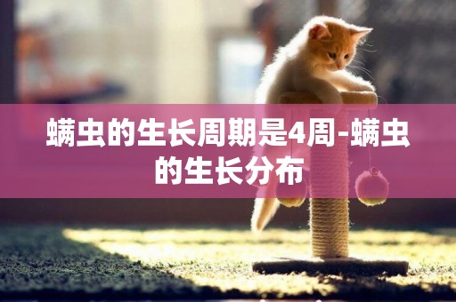 螨蟲的生長周期是4周-螨蟲的生長分布