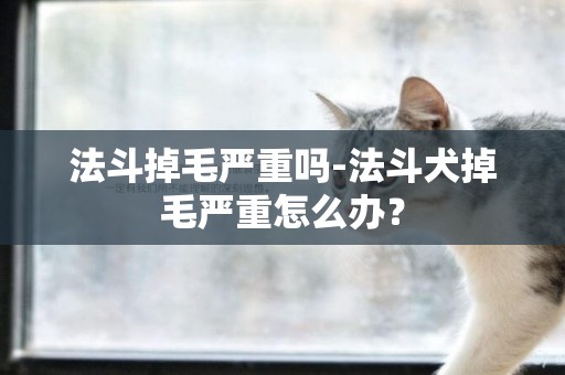 法斗掉毛嚴重嗎-法斗犬掉毛嚴重怎么辦？
