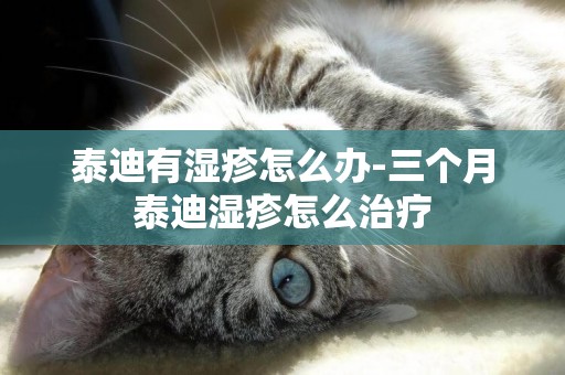 泰迪有濕疹怎么辦-三個月泰迪濕疹怎么治療
