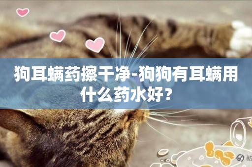 狗耳螨藥擦干凈-狗狗有耳螨用什么藥水好？
