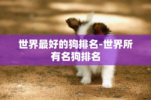 世界最好的狗排名-世界所有名狗排名