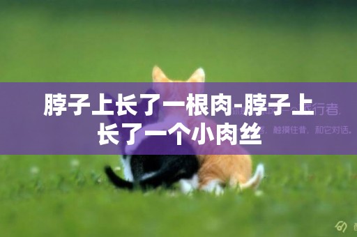 脖子上長了一根肉-脖子上長了一個小肉絲