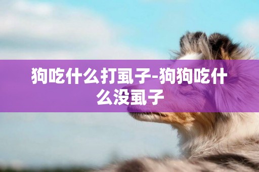 狗吃什么打虱子-狗狗吃什么沒虱子
