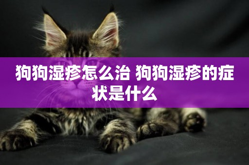 狗狗濕疹怎么治 狗狗濕疹的癥狀是什么