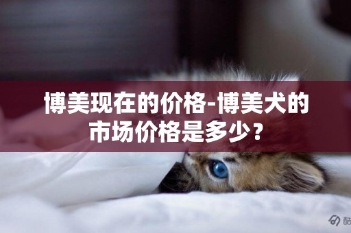 博美現在的價格-博美犬的市場價格是多少？