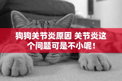 狗狗關節炎原因 關節炎這個問題可是不小呢！