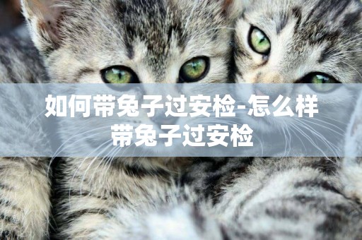 如何帶兔子過安檢-怎么樣帶兔子過安檢