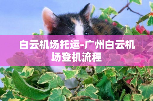 白云機場托運-廣州白云機場登機流程