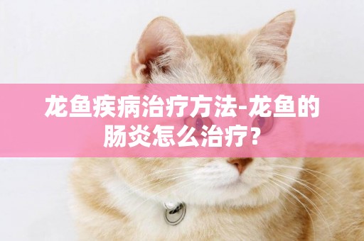 龍魚疾病治療方法-龍魚的腸炎怎么治療？
