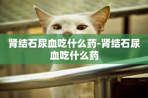 腎結石尿血吃什么藥-腎結石尿血吃什么藥