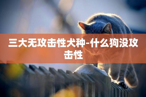 三大無攻擊性犬種-什么狗沒攻擊性