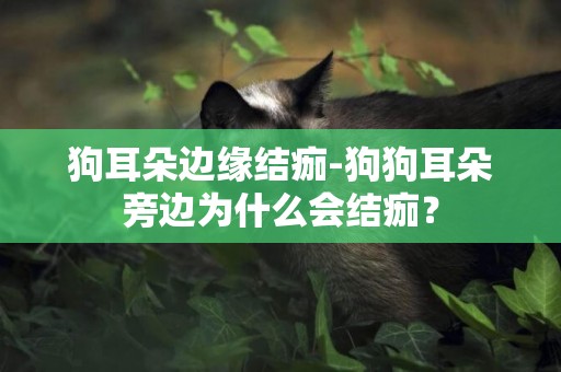 狗耳朵邊緣結痂-狗狗耳朵旁邊為什么會結痂？