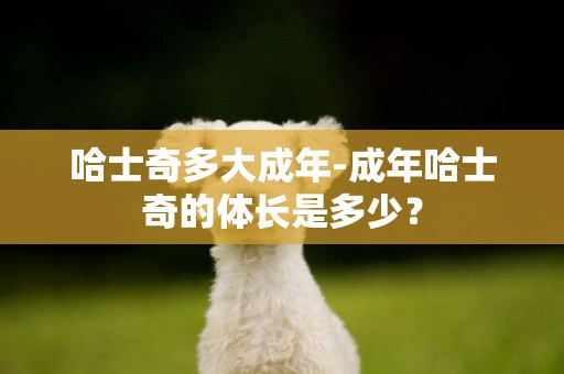 哈士奇多大成年-成年哈士奇的體長是多少？