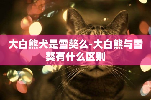 大白熊犬是雪獒么-大白熊與雪獒有什么區別