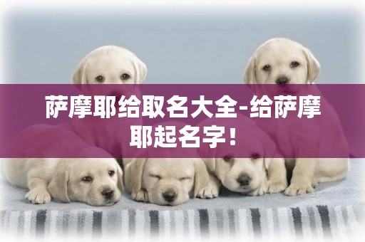 薩摩耶給取名大全-給薩摩耶起名字！