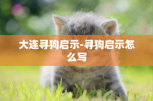 大連尋狗啟示-尋狗啟示怎么寫