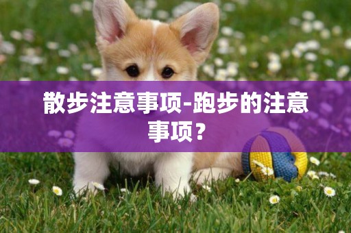 散步注意事項-跑步的注意事項？