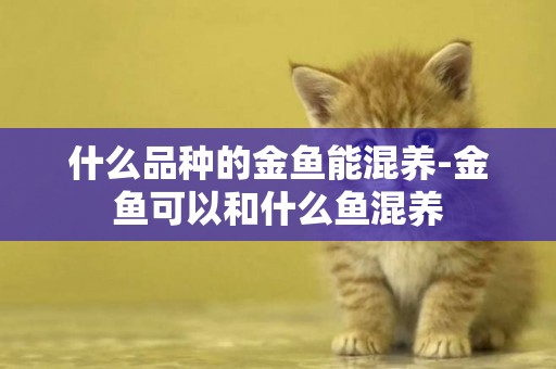 什么品種的金魚能混養-金魚可以和什么魚混養