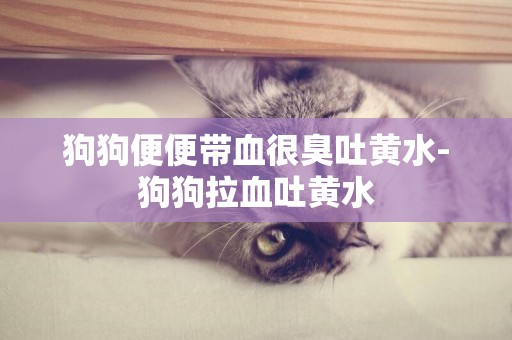 狗狗便便帶血很臭吐黃水-狗狗拉血吐黃水