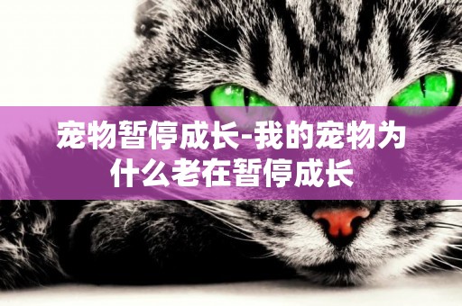 寵物暫停成長-我的寵物為什么老在暫停成長