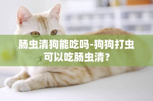 腸蟲清狗能吃嗎-狗狗打蟲可以吃腸蟲清？
