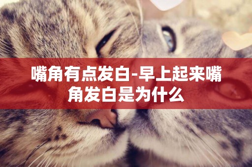 嘴角有點發白-早上起來嘴角發白是為什么