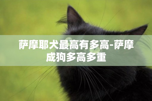 薩摩耶犬最高有多高-薩摩成狗多高多重
