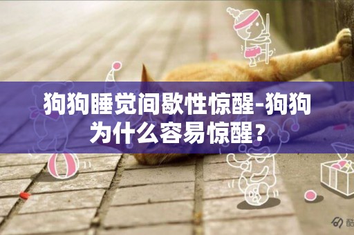 狗狗睡覺間歇性驚醒-狗狗為什么容易驚醒？