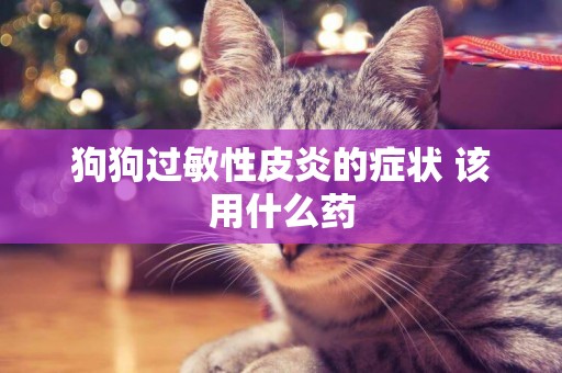狗狗過敏性皮炎的癥狀 該用什么藥