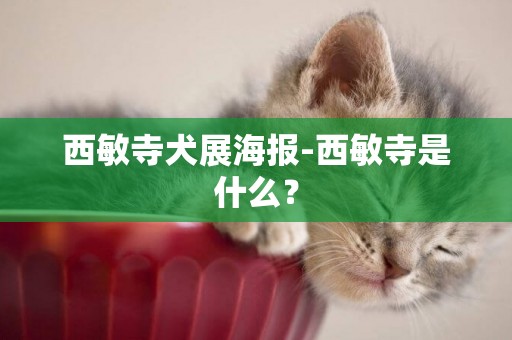 西敏寺犬展海報-西敏寺是什么？