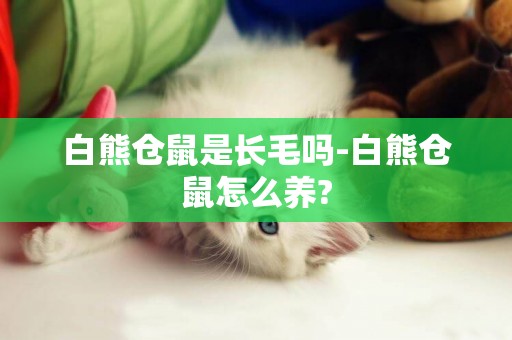 白熊倉鼠是長毛嗎-白熊倉鼠怎么養?