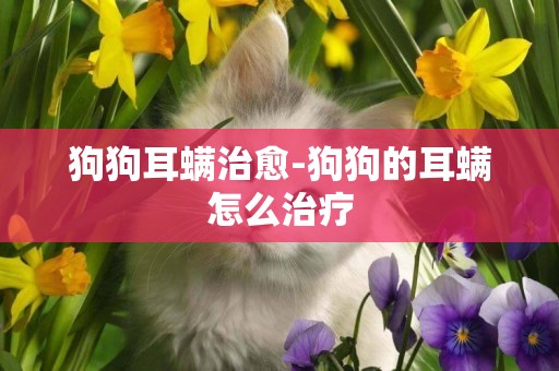 狗狗耳螨治愈-狗狗的耳螨怎么治療