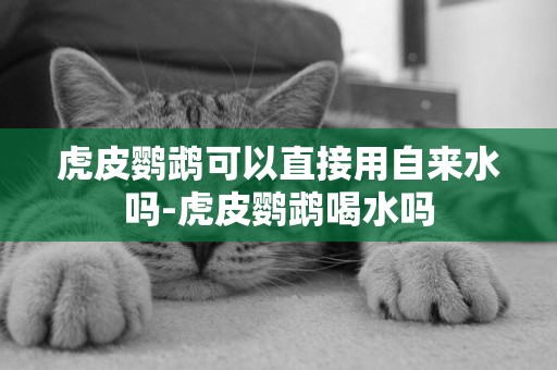 虎皮鸚鵡可以直接用自來水嗎-虎皮鸚鵡喝水嗎