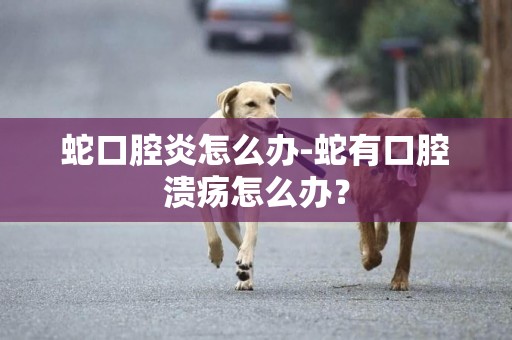 蛇口腔炎怎么辦-蛇有口腔潰瘍怎么辦？