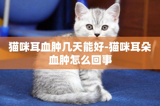 貓咪耳血腫幾天能好-貓咪耳朵血腫怎么回事