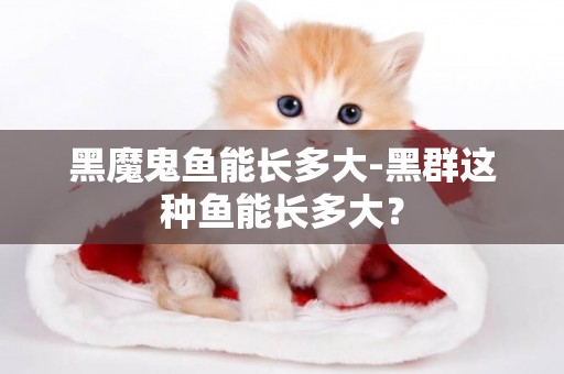 黑魔鬼魚能長多大-黑群這種魚能長多大？