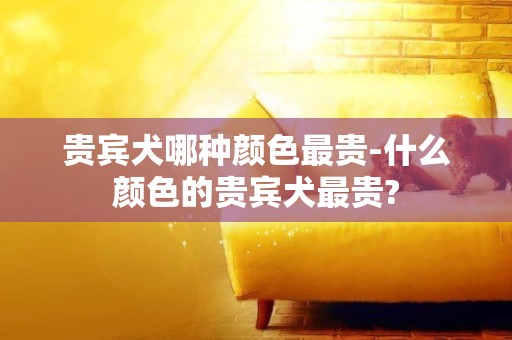 貴賓犬哪種顏色最貴-什么顏色的貴賓犬最貴?