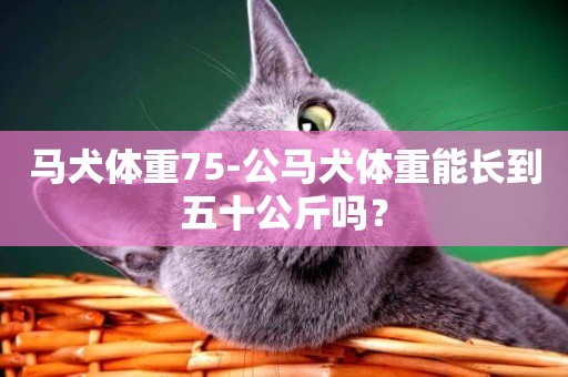 馬犬體重75-公馬犬體重能長到五十公斤嗎？