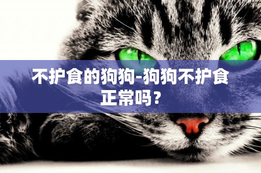 不護食的狗狗-狗狗不護食正常嗎？