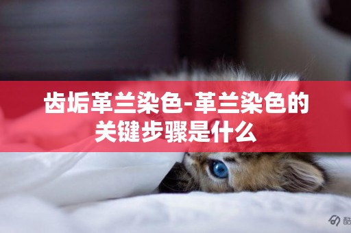 齒垢革蘭染色-革蘭染色的關鍵步驟是什么