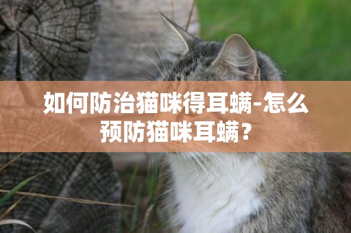 如何防治貓咪得耳螨-怎么預防貓咪耳螨？