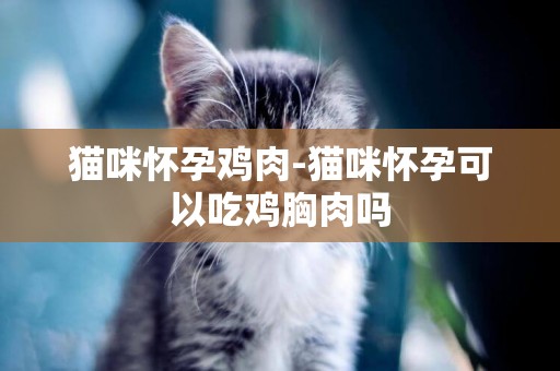 貓咪懷孕雞肉-貓咪懷孕可以吃雞胸肉嗎