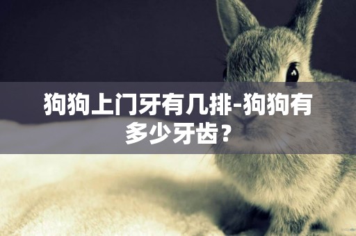 狗狗上門牙有幾排-狗狗有多少牙齒？