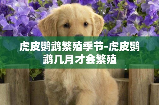 虎皮鸚鵡繁殖季節-虎皮鸚鵡幾月才會繁殖
