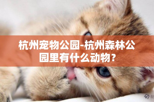杭州寵物公園-杭州森林公園里有什么動物？