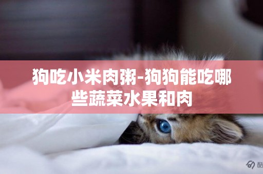 狗吃小米肉粥-狗狗能吃哪些蔬菜水果和肉