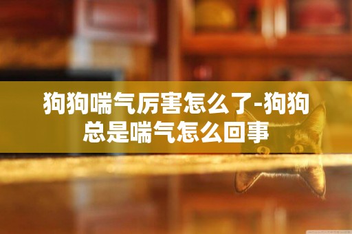 狗狗喘氣厲害怎么了-狗狗總是喘氣怎么回事